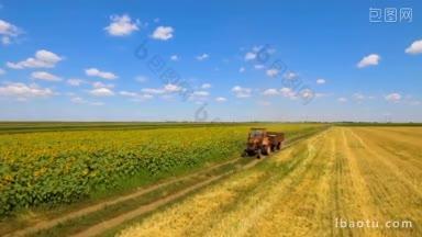 航拍拖拉机在收获田地在夏天的一天与蓝天食品工业的概念